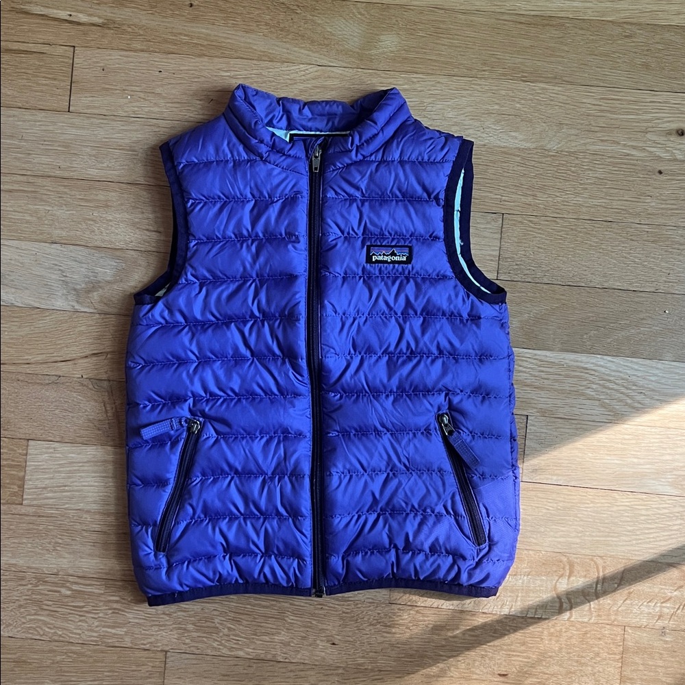 Patagonia Vibrant Purple Quilted Down Vest